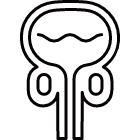 前立腺がんの場合