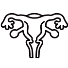 子宮がんの場合